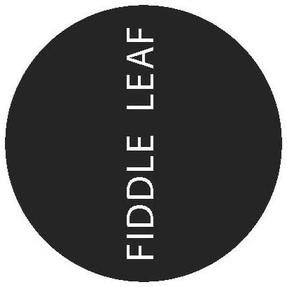 Fiddle Leaf