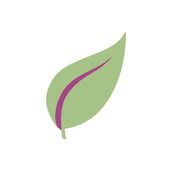 Vietnamese Mint